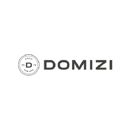 Domizi